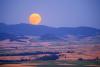 Palouse Moonrise